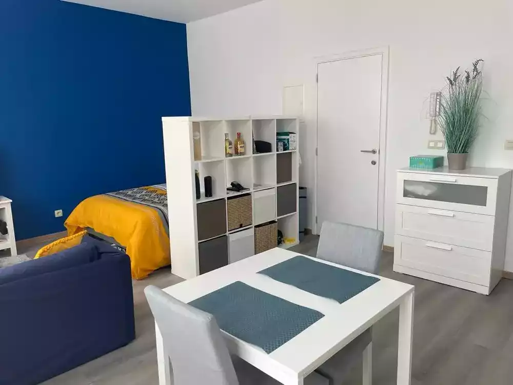 Charleroi Rental - Wallifornie - Sofieflat