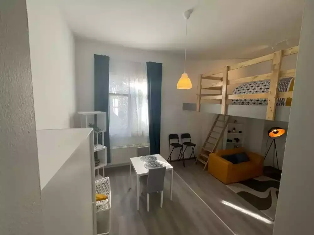 Studio Wallifolie – vignette aperçu, location Charleroi Centre – Sofieflat
